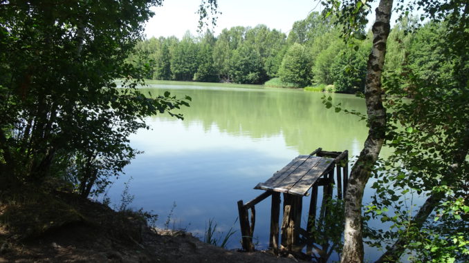 DSC01472-1